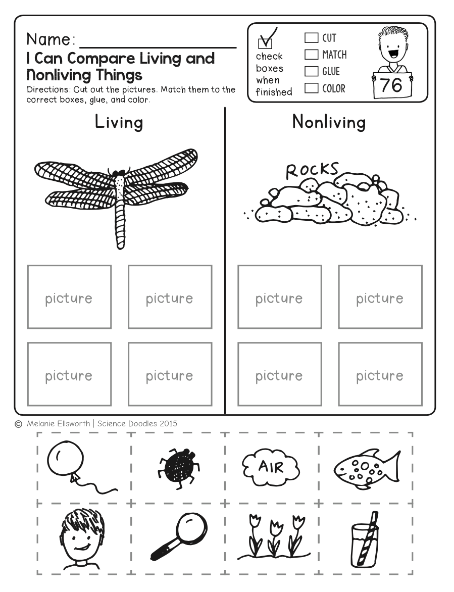 Free Science Worksheet! Kids Love This! â¦